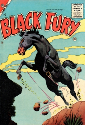 Black Fury 2