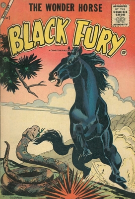 Black Fury 7