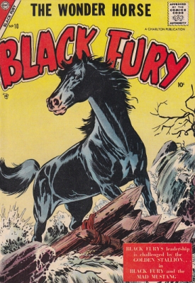 Black Fury 10