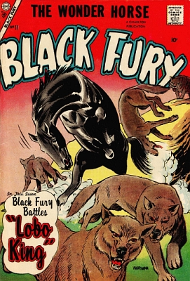 Black Fury 11