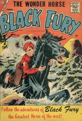 Black Fury 12